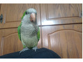 -small-1
