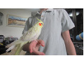 -small-1