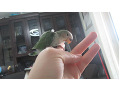 -small-1
