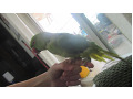 -small-1