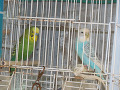 -small-2