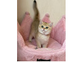 -small-0