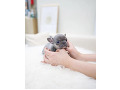 -small-0