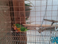 -small-2