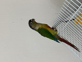 -small-1