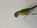 -small-2