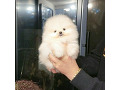 -small-1