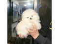 -small-0