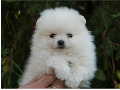 -small-0