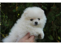 -small-2