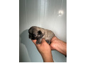 -small-0