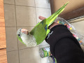 -small-2