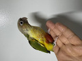-small-2