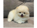 -small-0