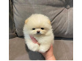 -small-1