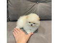 -small-2