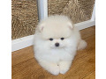 -small-2
