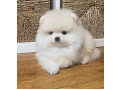 -small-1