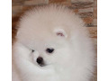 -small-0