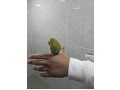 -small-1