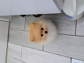 -small-0