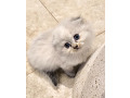 -small-0