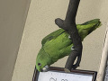 -small-0