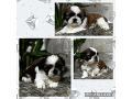 -small-1