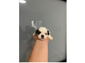 -small-0