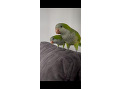 -small-0