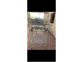 תוכים ובעלי כנף אחר בבית שמש