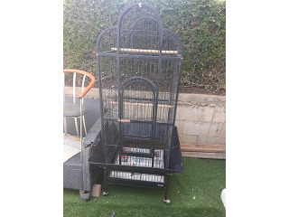 תוכים ובעלי כנף אביזרים בבאר שבע
