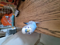 -small-1