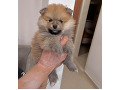 -small-0