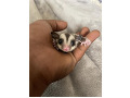 -small-0