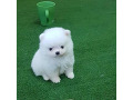 -small-0