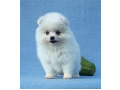 -small-0