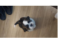 -small-2