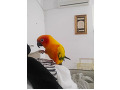 -small-1