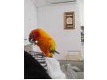 -small-2