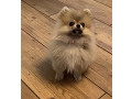 -small-1