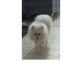 -small-1