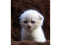 -small-1