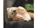 -small-2