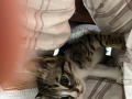 -small-0