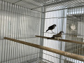 -small-2