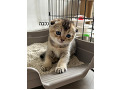 -small-2