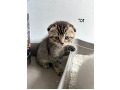 -small-0