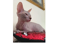-small-0