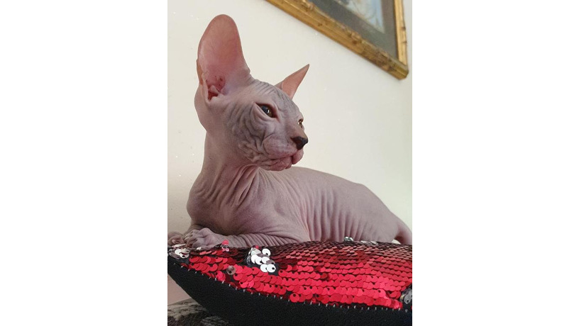 -big-0